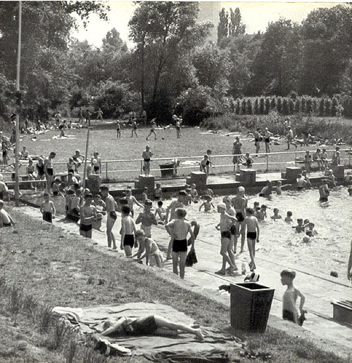 Wiesental im hinteren Bereich um 1955