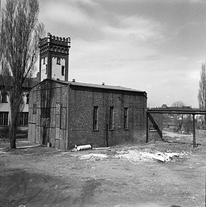 friederika 1963